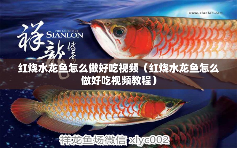 紅燒水龍魚怎么做好吃視頻（紅燒水龍魚怎么做好吃視頻教程）