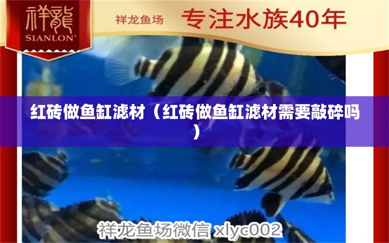 紅磚做魚缸濾材（紅磚做魚缸濾材需要敲碎嗎） 黃金貓魚