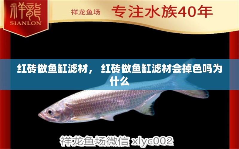 紅磚做魚缸濾材， 紅磚做魚缸濾材會(huì)掉色嗎為什么