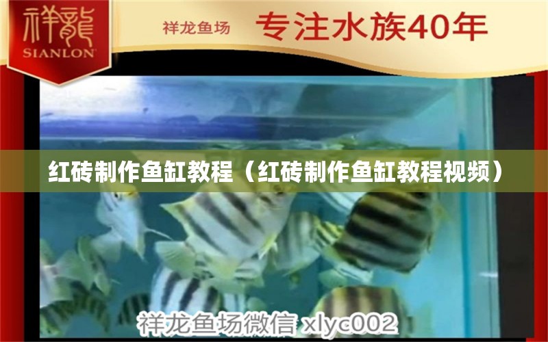 紅磚制作魚缸教程（紅磚制作魚缸教程視頻） 祥龍水族醫(yī)院