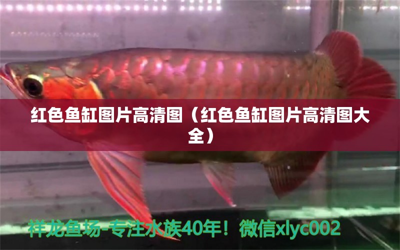 紅色魚缸圖片高清圖（紅色魚缸圖片高清圖大全）