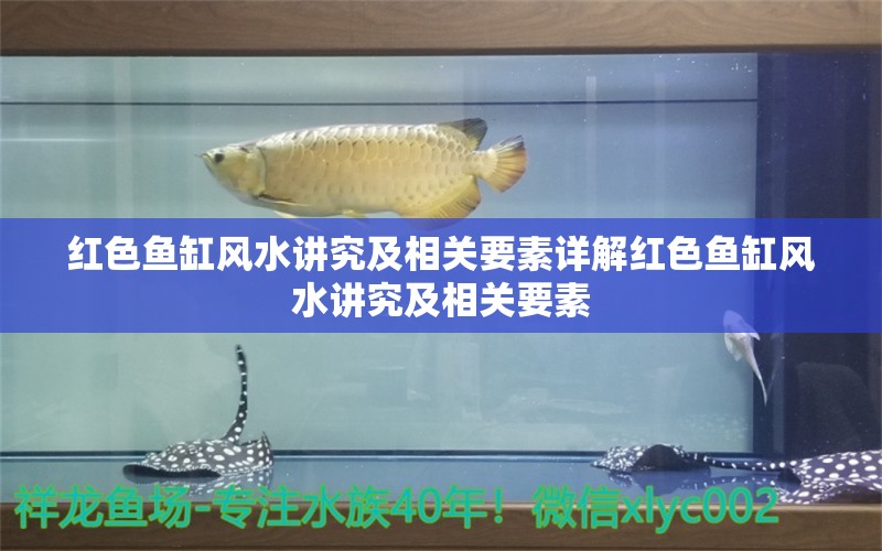 紅色魚缸風(fēng)水講究及相關(guān)要素詳解紅色魚缸風(fēng)水講究及相關(guān)要素