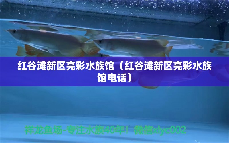 紅谷灘新區(qū)亮彩水族館（紅谷灘新區(qū)亮彩水族館電話）