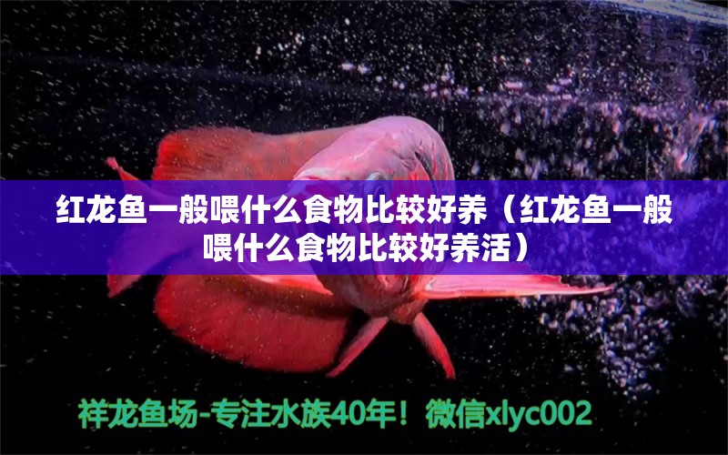 紅龍魚一般喂什么食物比較好養(yǎng)（紅龍魚一般喂什么食物比較好養(yǎng)活）