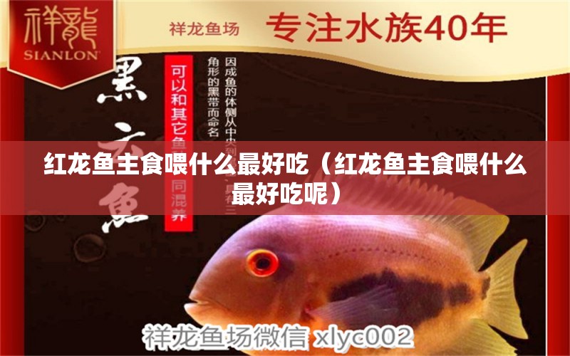 紅龍魚主食喂什么最好吃（紅龍魚主食喂什么最好吃呢）