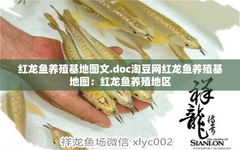 紅龍魚(yú)養(yǎng)殖基地圖文.doc淘豆網(wǎng)紅龍魚(yú)養(yǎng)殖基地圖：紅龍魚(yú)養(yǎng)殖地區(qū) 龍魚(yú)百科 第2張