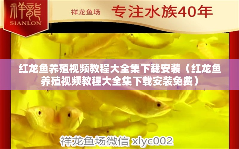 紅龍魚養(yǎng)殖視頻教程大全集下載安裝（紅龍魚養(yǎng)殖視頻教程大全集下載安裝免費(fèi)）