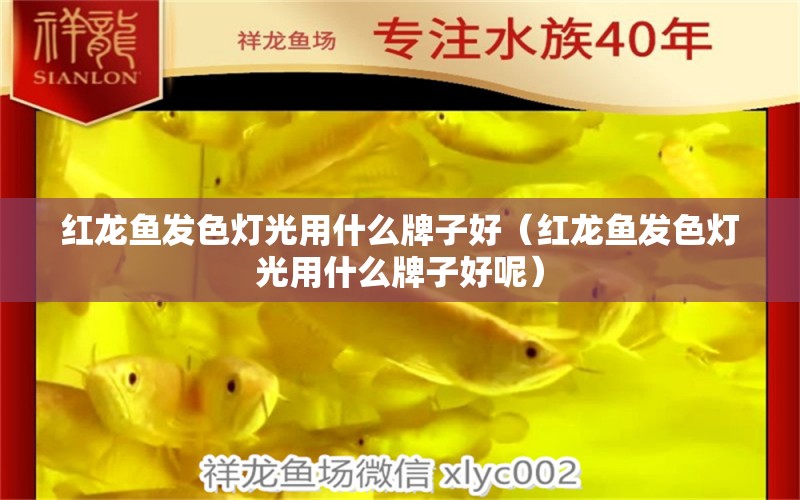 紅龍魚發(fā)色燈光用什么牌子好（紅龍魚發(fā)色燈光用什么牌子好呢）