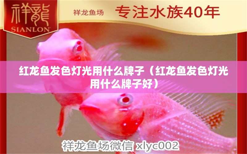 紅龍魚發(fā)色燈光用什么牌子（紅龍魚發(fā)色燈光用什么牌子好）