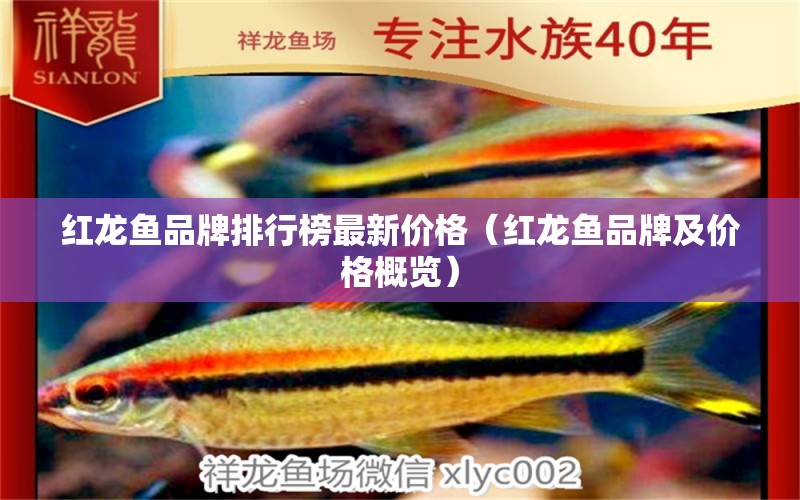 紅龍魚(yú)品牌排行榜最新價(jià)格（紅龍魚(yú)品牌及價(jià)格概覽） 龍魚(yú)百科 第2張