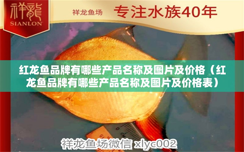 紅龍魚品牌有哪些產(chǎn)品名稱及圖片及價格（紅龍魚品牌有哪些產(chǎn)品名稱及圖片及價格表） 名貴錦鯉魚