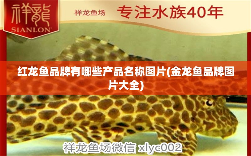 紅龍魚品牌有哪些產(chǎn)品名稱圖片(金龍魚品牌圖片大全) 黃金斑馬魚