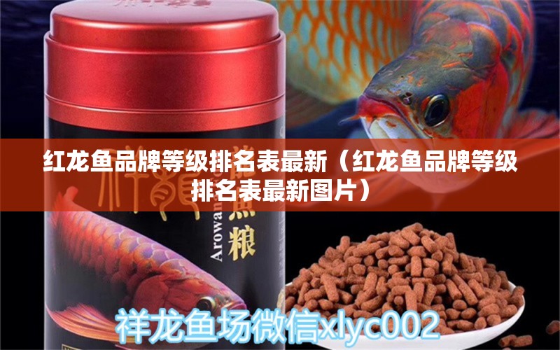 紅龍魚品牌等級排名表最新（紅龍魚品牌等級排名表最新圖片）