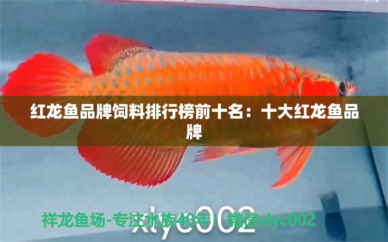 紅龍魚品牌飼料排行榜前十名：十大紅龍魚品牌 廣州龍魚批發(fā)市場(chǎng)