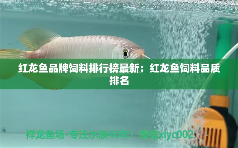 紅龍魚品牌飼料排行榜最新：紅龍魚飼料品質(zhì)排名