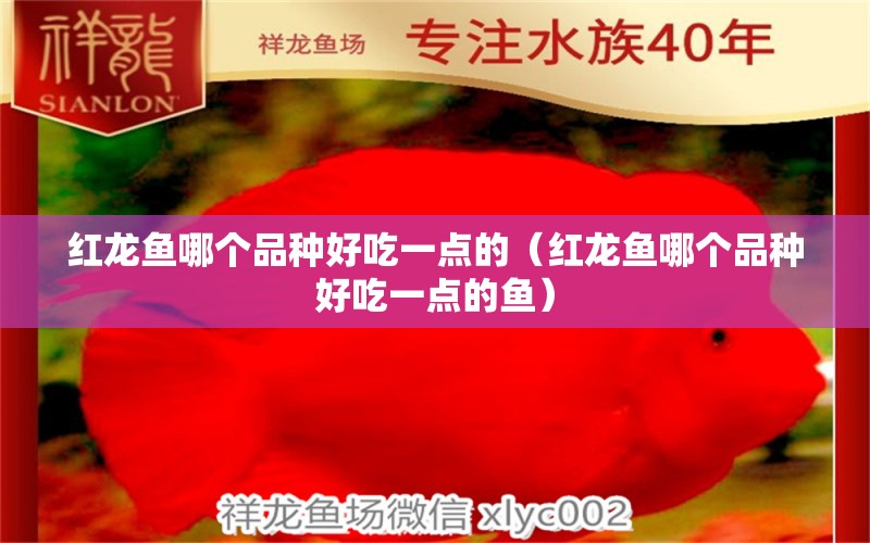 紅龍魚(yú)哪個(gè)品種好吃一點(diǎn)的（紅龍魚(yú)哪個(gè)品種好吃一點(diǎn)的魚(yú)）