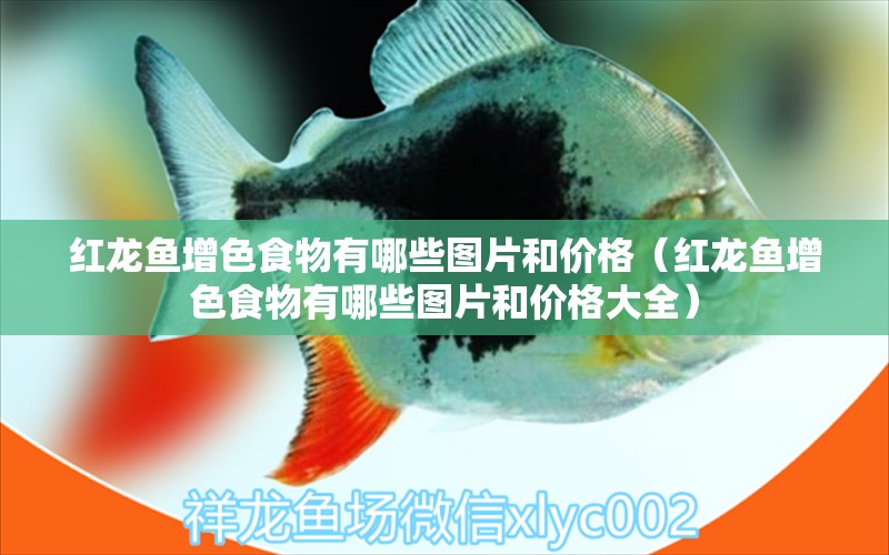 紅龍魚增色食物有哪些圖片和價(jià)格（紅龍魚增色食物有哪些圖片和價(jià)格大全）