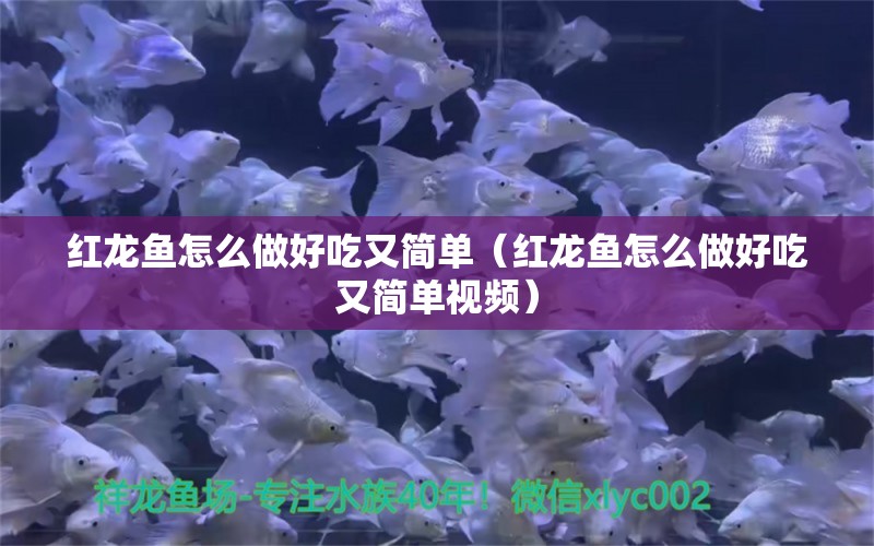 紅龍魚怎么做好吃又簡(jiǎn)單（紅龍魚怎么做好吃又簡(jiǎn)單視頻） 龍魚百科