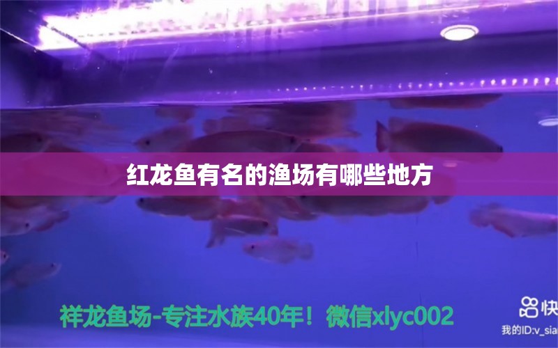 紅龍魚有名的漁場有哪些地方 水族問答 第1張