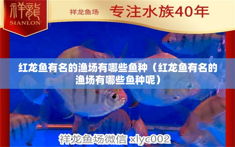 紅龍魚(yú)有名的漁場(chǎng)有哪些魚(yú)種（紅龍魚(yú)有名的漁場(chǎng)有哪些魚(yú)種呢） 觀賞魚(yú)批發(fā)