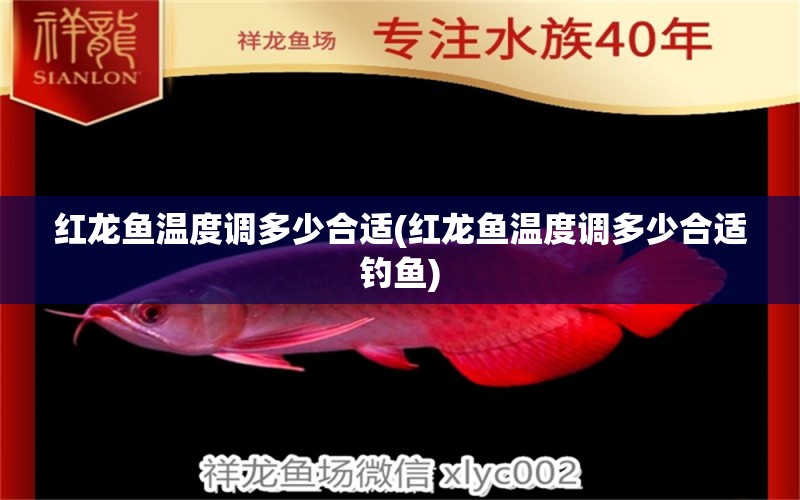 紅龍魚(yú)溫度調(diào)多少合適(紅龍魚(yú)溫度調(diào)多少合適釣魚(yú)) 垂釣樂(lè)園