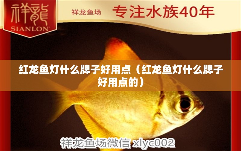 紅龍魚燈什么牌子好用點（紅龍魚燈什么牌子好用點的）