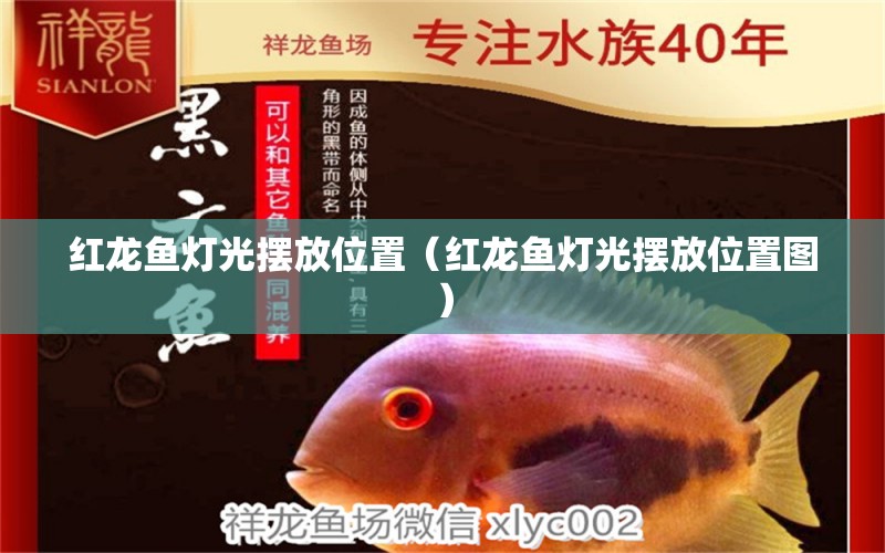 紅龍魚燈光擺放位置（紅龍魚燈光擺放位置圖）