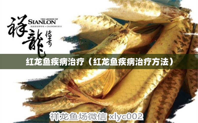 紅龍魚疾病治療（紅龍魚疾病治療方法）