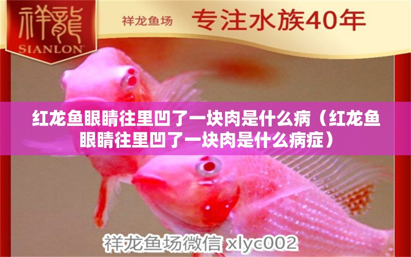 紅龍魚眼睛往里凹了一塊肉是什么病（紅龍魚眼睛往里凹了一塊肉是什么病癥） 龍魚百科