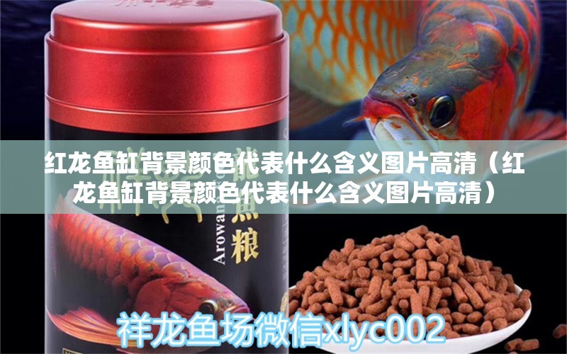 紅龍魚缸背景顏色代表什么含義圖片高清（紅龍魚缸背景顏色代表什么含義圖片高清）