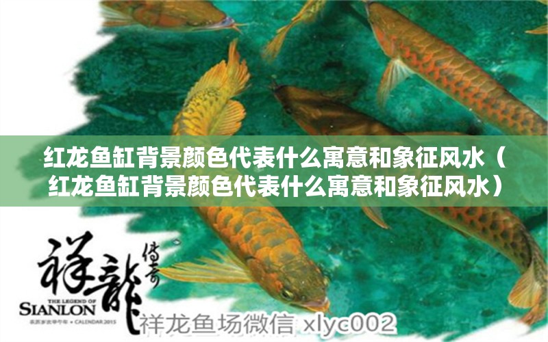 紅龍魚缸背景顏色代表什么寓意和象征風(fēng)水（紅龍魚缸背景顏色代表什么寓意和象征風(fēng)水）