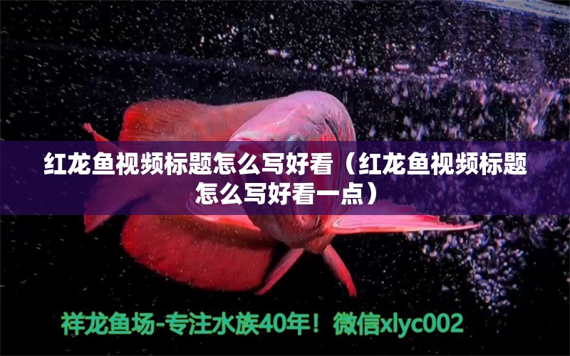 紅龍魚視頻標(biāo)題怎么寫好看（紅龍魚視頻標(biāo)題怎么寫好看一點(diǎn)）