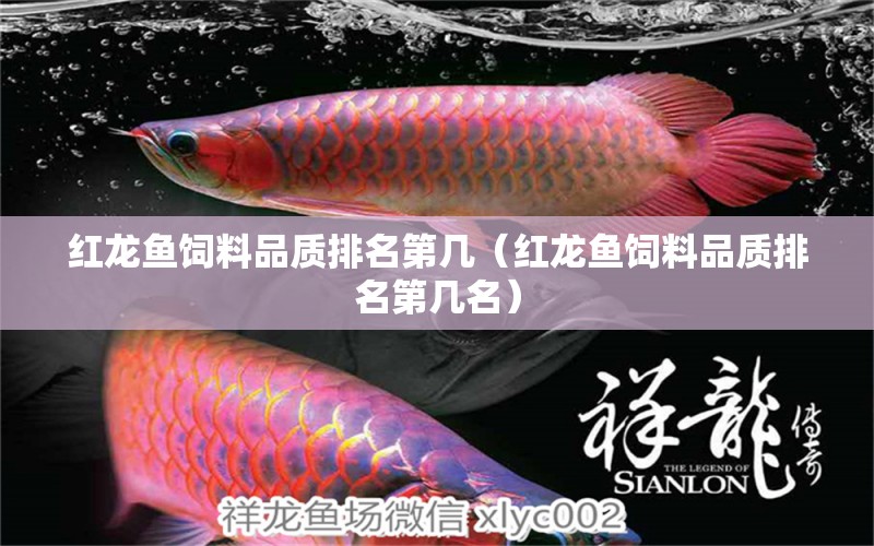 紅龍魚飼料品質(zhì)排名第幾（紅龍魚飼料品質(zhì)排名第幾名）