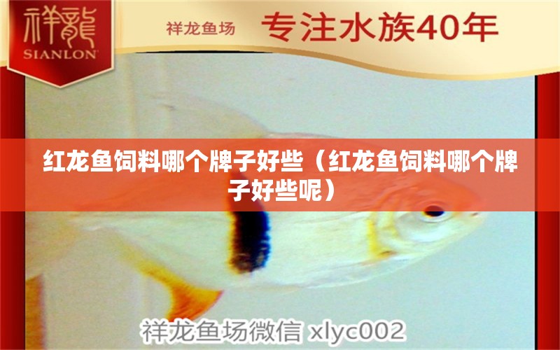 紅龍魚飼料哪個牌子好些（紅龍魚飼料哪個牌子好些呢） 紅龍魚魚糧飼料