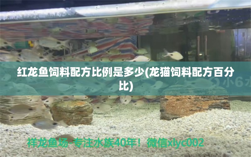 紅龍魚飼料配方比例是多少(龍貓飼料配方百分比) 水族雜談