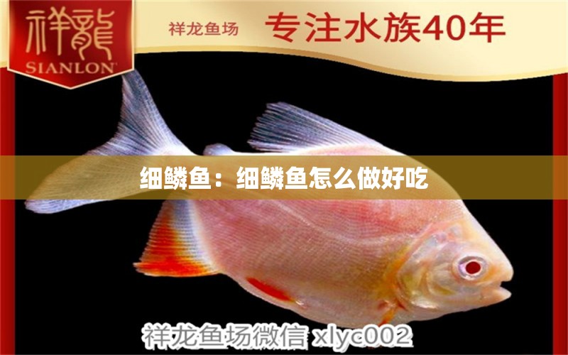 細鱗魚：細鱗魚怎么做好吃