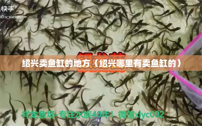 紹興賣魚缸的地方（紹興哪里有賣魚缸的）