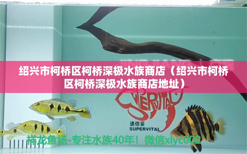 紹興市柯橋區(qū)柯橋深極水族商店（紹興市柯橋區(qū)柯橋深極水族商店地址）