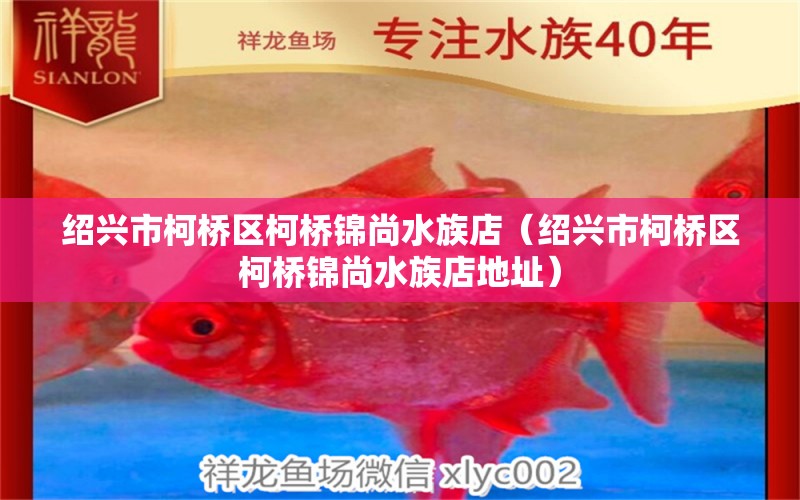 紹興市柯橋區(qū)柯橋錦尚水族店（紹興市柯橋區(qū)柯橋錦尚水族店地址）