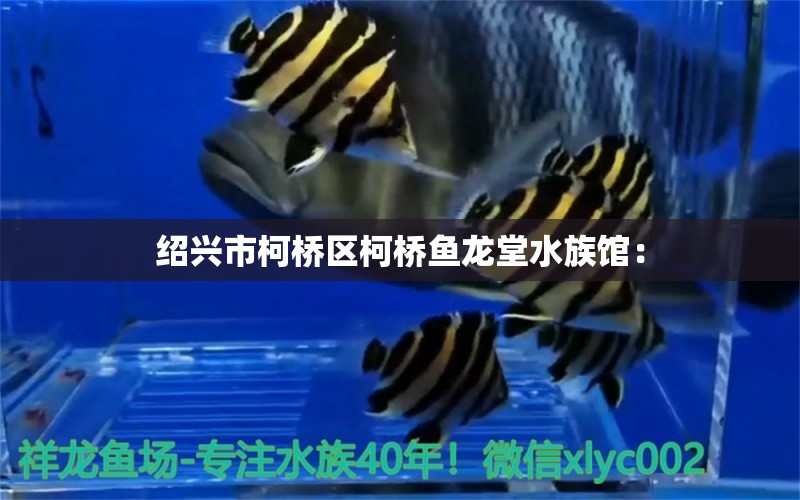 紹興市柯橋區(qū)柯橋魚龍?zhí)盟屦^： 全國水族館企業(yè)名錄