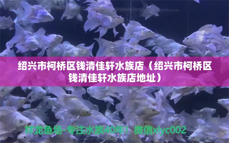 紹興市柯橋區(qū)錢清佳軒水族店（紹興市柯橋區(qū)錢清佳軒水族店地址）