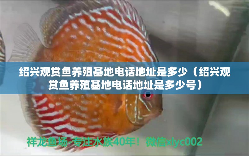 紹興觀賞魚(yú)養(yǎng)殖基地電話地址是多少（紹興觀賞魚(yú)養(yǎng)殖基地電話地址是多少號(hào)）