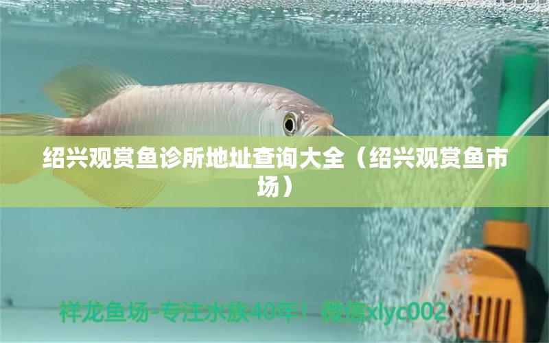 紹興觀賞魚診所地址查詢大全（紹興觀賞魚市場） 祥龍水族濾材/器材