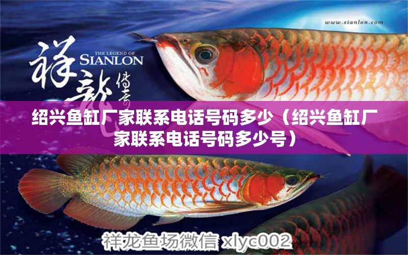 紹興魚缸廠家聯(lián)系電話號碼多少（紹興魚缸廠家聯(lián)系電話號碼多少號） 三色錦鯉魚