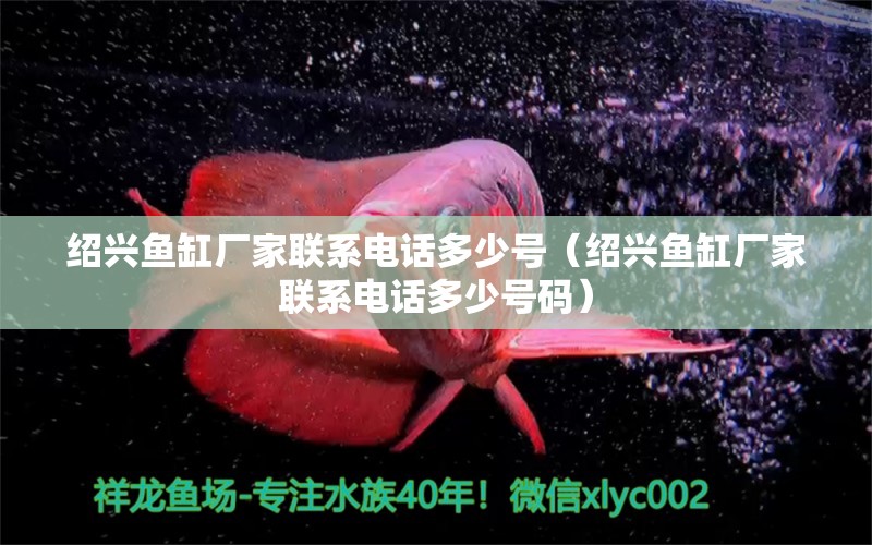 紹興魚缸廠家聯(lián)系電話多少號（紹興魚缸廠家聯(lián)系電話多少號碼）