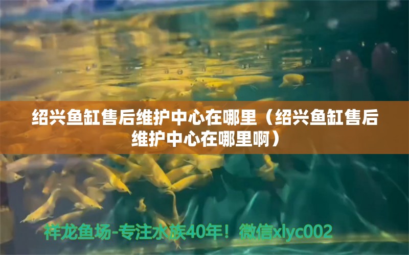 紹興魚缸售后維護(hù)中心在哪里（紹興魚缸售后維護(hù)中心在哪里?。? title=