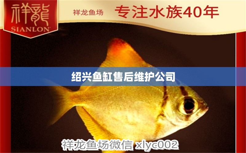 紹興魚缸售后維護(hù)公司