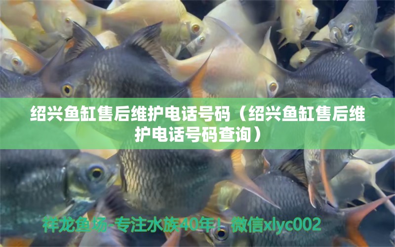 紹興魚缸售后維護(hù)電話號(hào)碼（紹興魚缸售后維護(hù)電話號(hào)碼查詢） 其他品牌魚缸