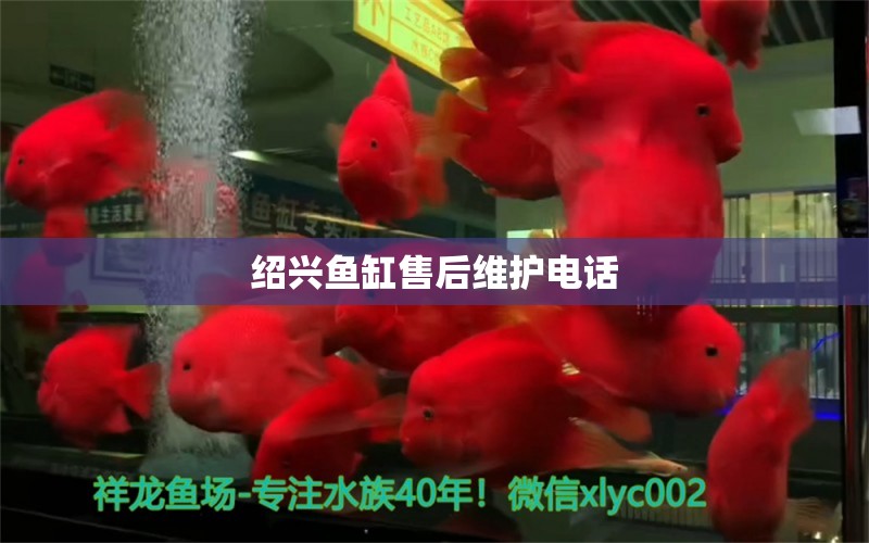 紹興魚(yú)缸售后維護(hù)電話 其他品牌魚(yú)缸