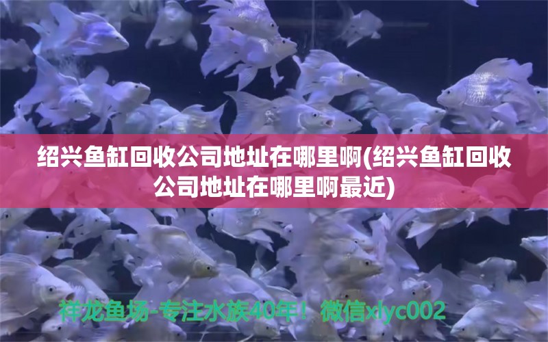 紹興魚缸回收公司地址在哪里啊(紹興魚缸回收公司地址在哪里啊最近)